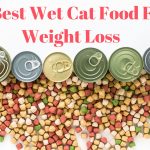 15 Best Wet Cat Food For Weight Loss